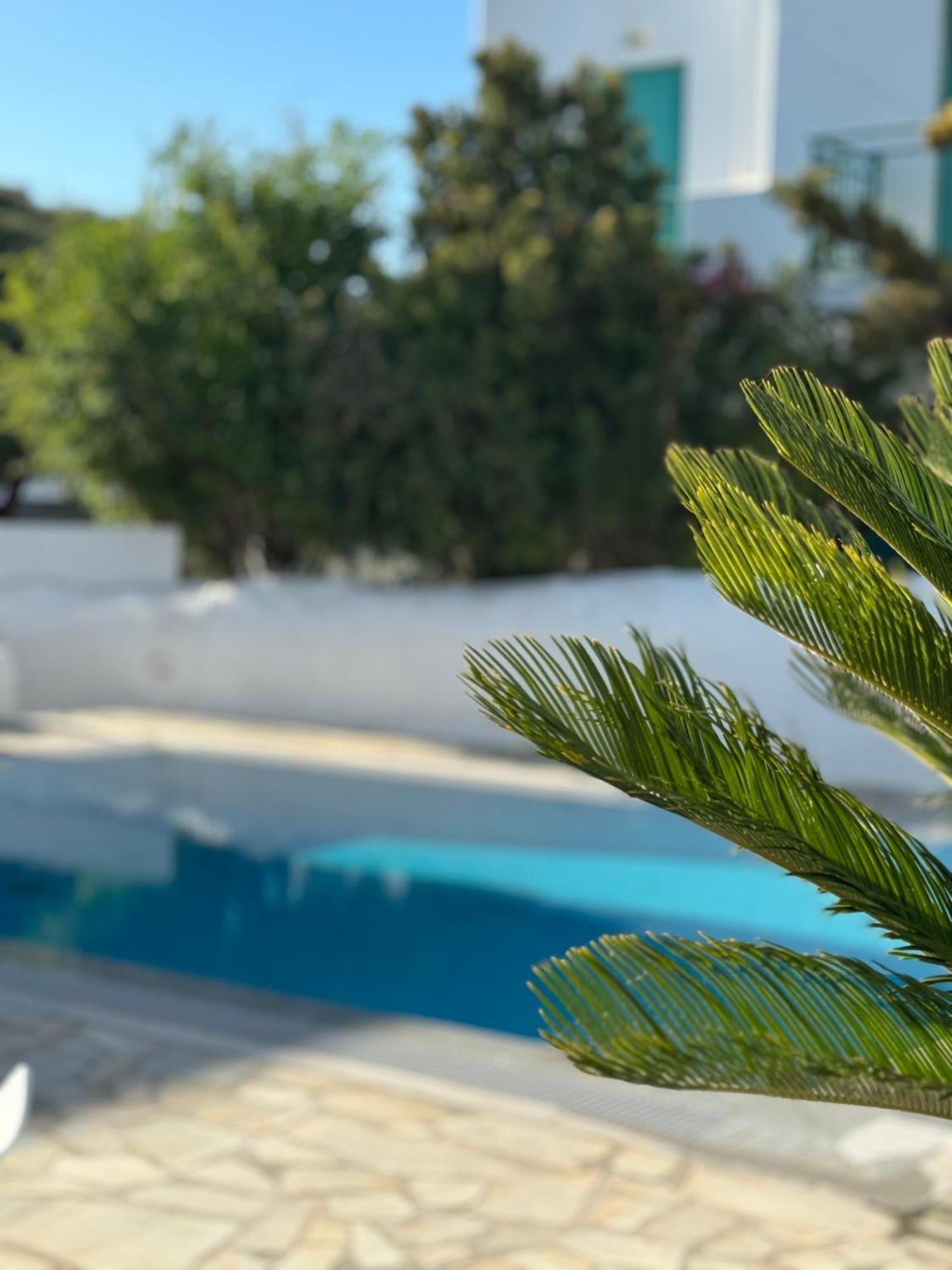 Апартаменти Enso Mykonos Living Mykonos Town Екстер'єр фото